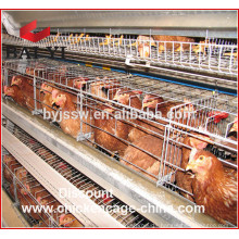 Chicken Farm Layer Cages In Zimbabwe From China Factory